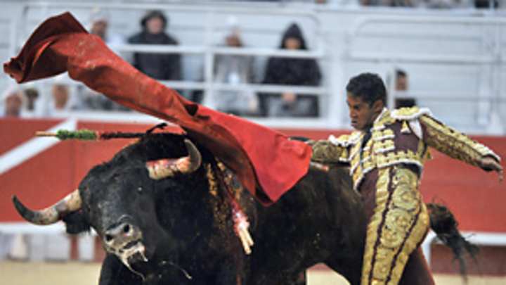 Matadors (Related Stories) Matadors (Related Stories)