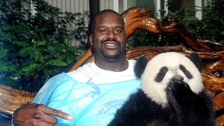 Athletes And Pandas Athletes And Pandas
