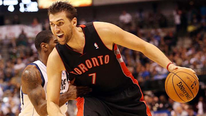 Raptors' Bargnani, Nets' Williams headline All-Disappointment Team