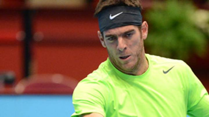 Del Potro, Zemlja reach Erste Bank Open final Del Potro, Zemlja reach Erste Bank Open final