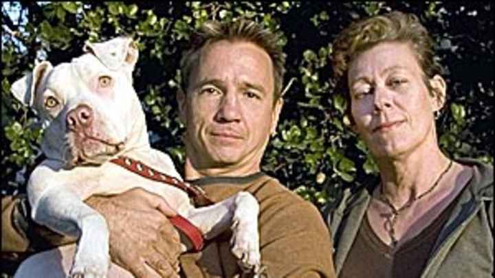 My Sportsman: Bay Area Doglovers Responsible About Pit Bulls My Sportsman: Bay Area Doglovers Responsible About Pit Bulls