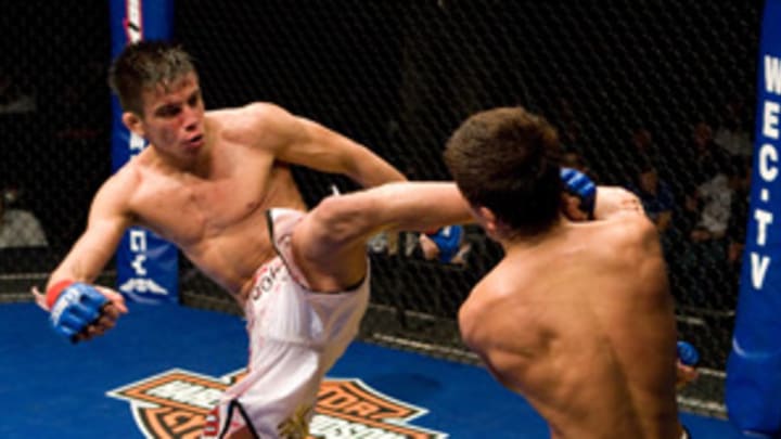 Torres, Bellator shine for MMA