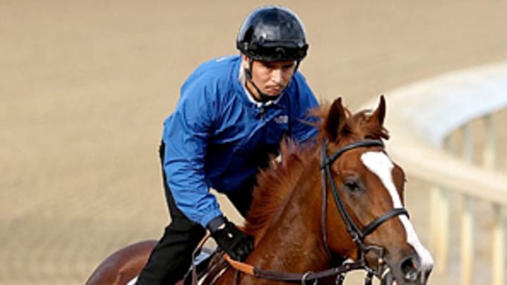 Handicapping the Kentucky Derby Handicapping the Kentucky Derby