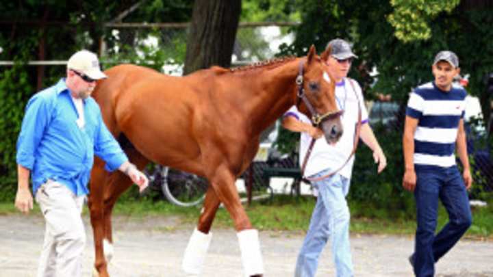 I'll Have Another sold to Japanese farm, will be transported in August