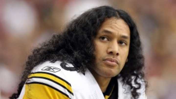Troy Polamalu admits to lying about concussions to get back into NFL games