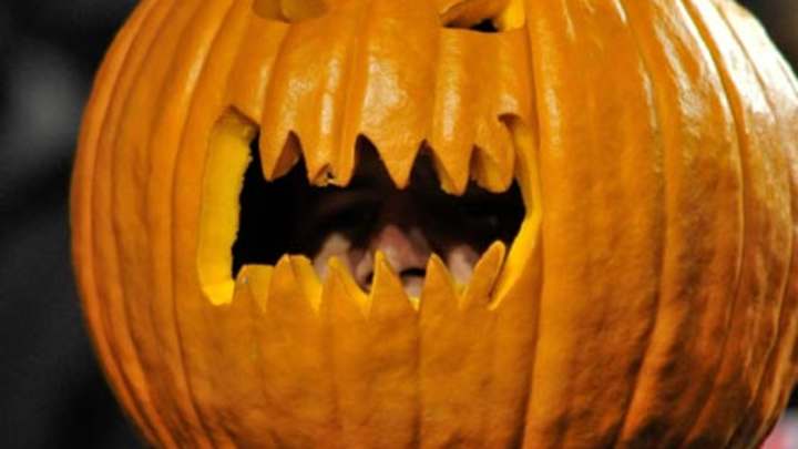 College Football Superfans