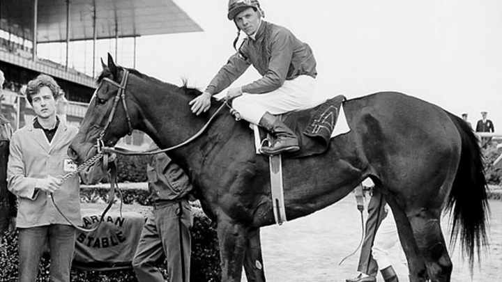 Top 10 Female Race Horses of All Time Top 10 Female Race Horses of All Time