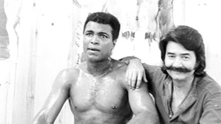 Artist Leroy Neiman chose to see sport as a razzle-dazzle of glory