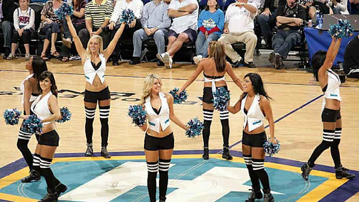Hornets Honeybees