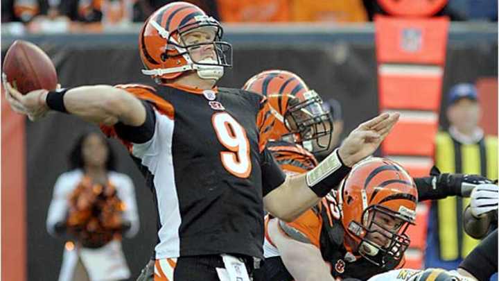 The Rehab of Carson Palmer