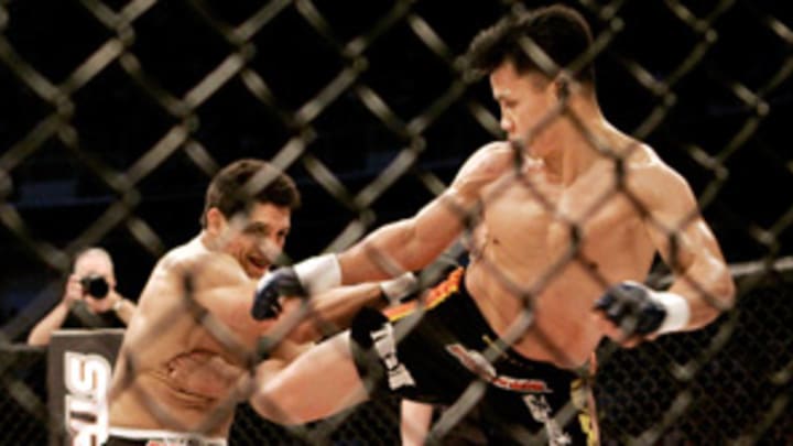 For Le, a successful 2008 will be followed by packed 2009