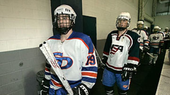 San Diego Gulls painted a near-perfect masterpiece in '92-'93