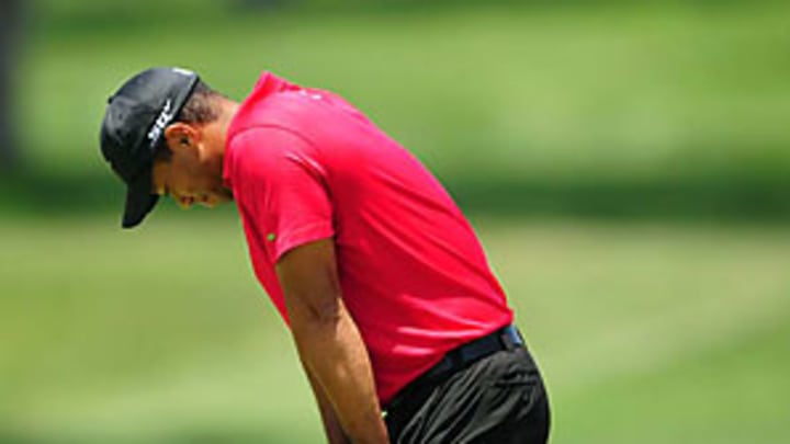 My Sportsman: Tiger Woods