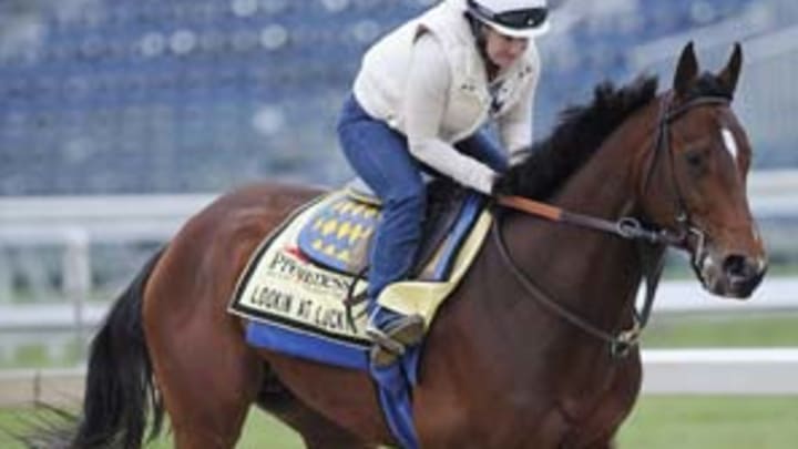 Super Saver is poised for a repeat performance at the Preakness Super Saver is poised for a repeat performance at the Preakness