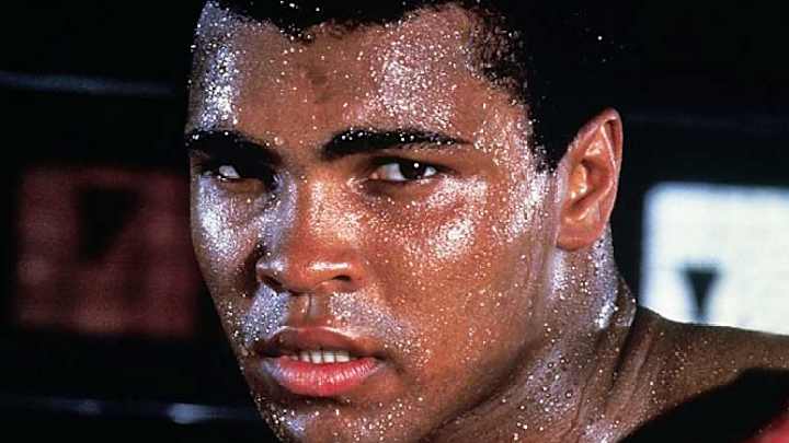 Ken Regan's Knockout Book