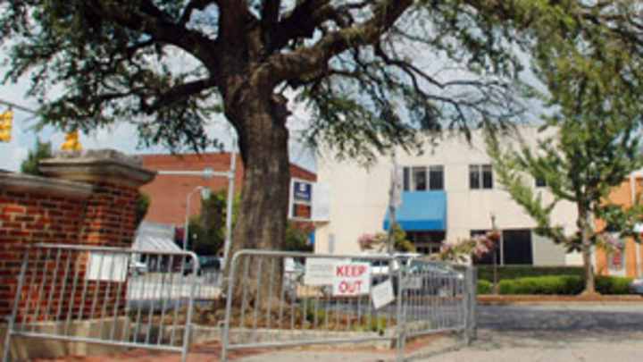 The sad saga of Harvey Updyke The sad saga of Harvey Updyke