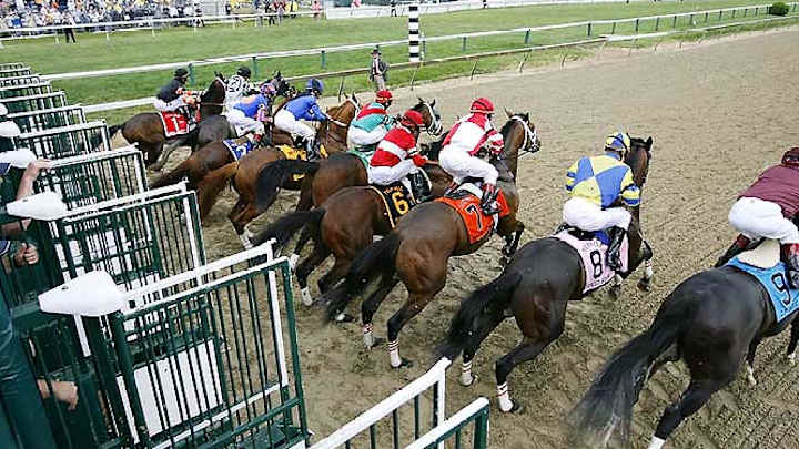 2007 Preakness Stakes