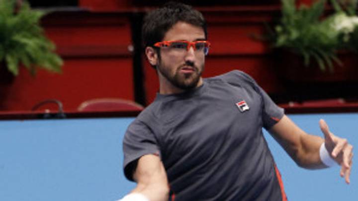 Del Potro, Tipsarevic into Vienna semifinals