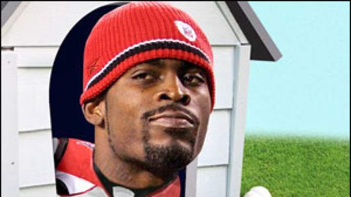 The Case Against Vick