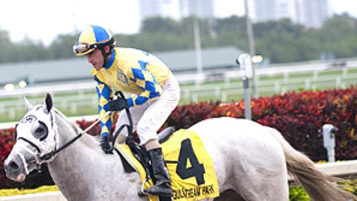 Hansen could be the first white horse ever to win a Kentucky Derby