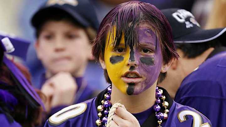 NFL Fans: Divisional Playoffs