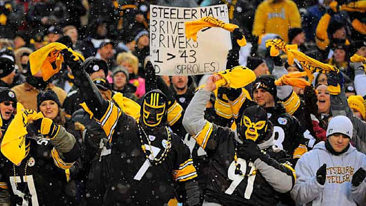 NFL's Divisional Playoff Fans