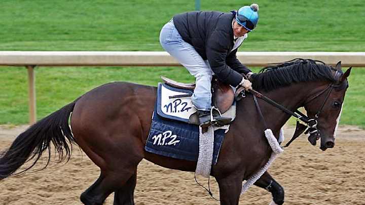Kentucky Derby Preview