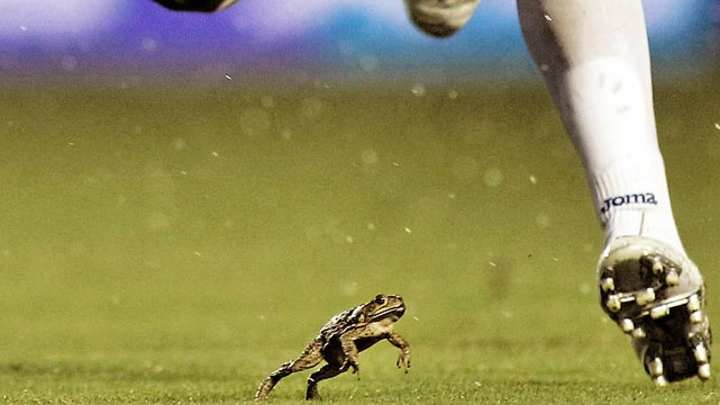 Leading Off: Pictures of the Week