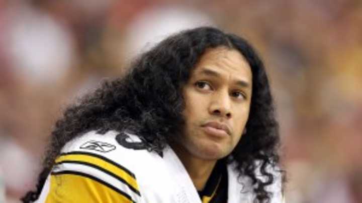 Troy Polamalu most popular NFL player, Ndamukong Suh least liked according to Nielsen poll