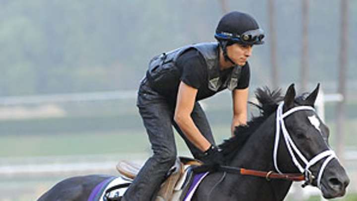 Shanghai Bobby undefeated heading into Juvenile race at Breeders' Cup
