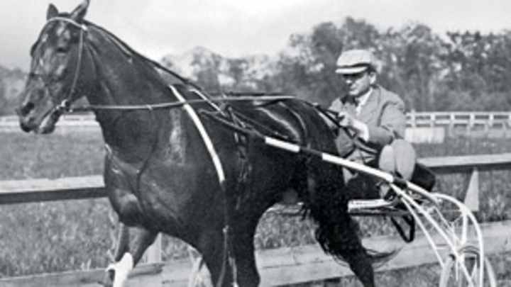 The Horse We Rode in on