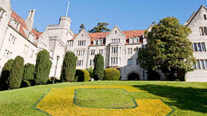 Cal cuts baseball, leaving supporters with plenty of questions