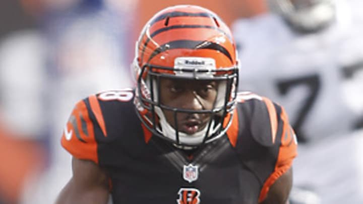 NFL Playoff Picture, Week 13: Four division races could come to an end