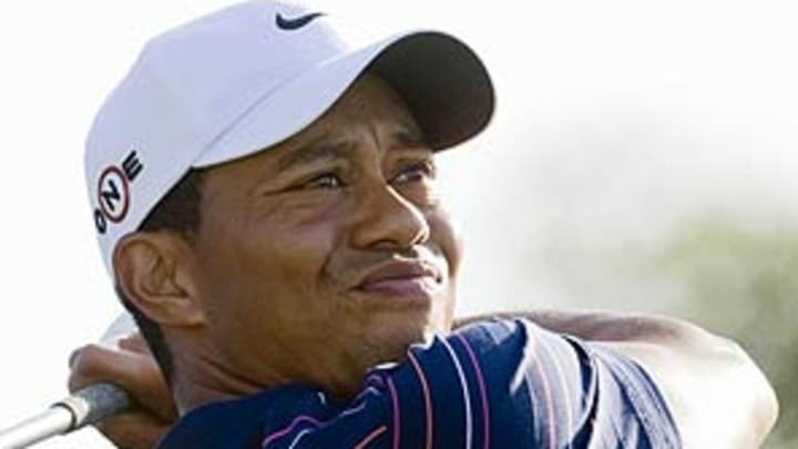 What I would say if I were Tiger What I would say if I were Tiger