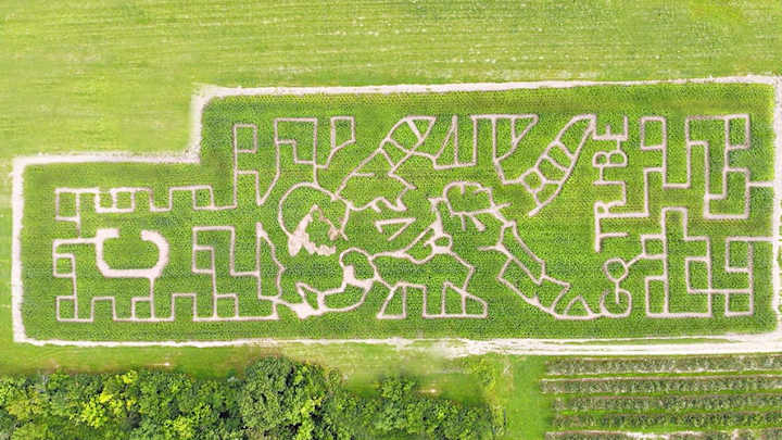 Mapleside Farms in Brunswick Honors Indians SS Francisco Lindor New 2018 Fall Corn Maze