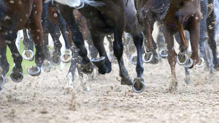 Prosecutor Finds No Crimes in Santa Anita Horse Racing Deaths Prosecutor Finds No Crimes in Santa Anita Horse Racing Deaths