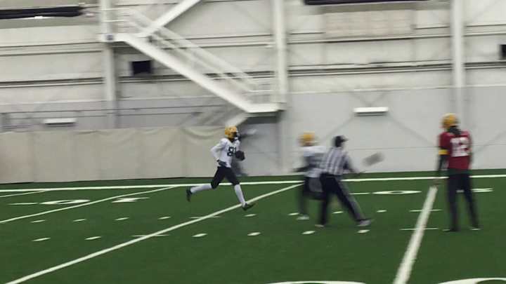 Packers-Vikings Injury Report: Cook Misses Second Practice