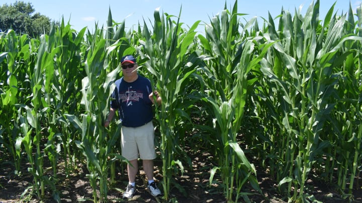 Field of Dreams: Where Families, Baseball Bond