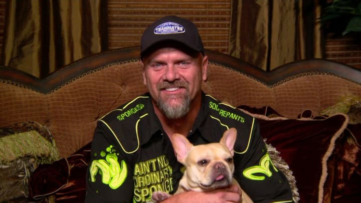 Put Larry Walker’s NASCAR-Style SpongeBob Shirt in Its Own Hall of Fame