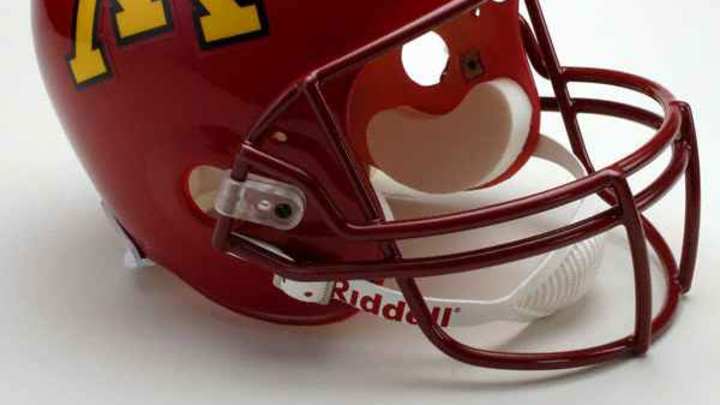 Musings on the Minnesota Golden Gophers