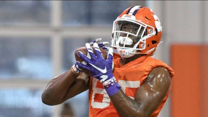 5 Things We Learned About the Tigers in the Spring 5 Things We Learned About the Tigers in the Spring
