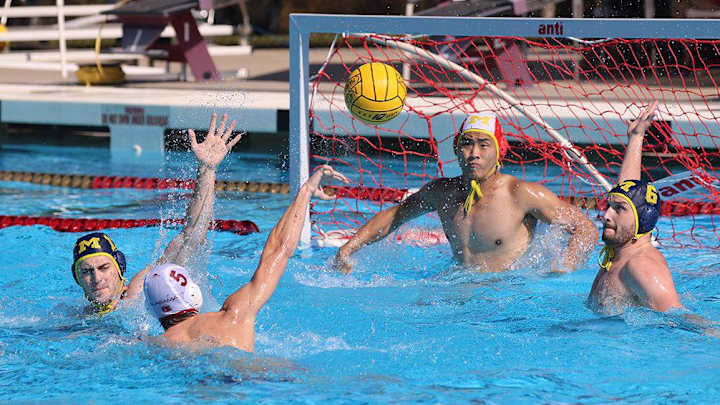 Pool Break: UA Club Water Polo Deals with a Waterless Summer