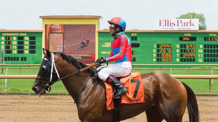 Ellis Park Derby Betting Preview - Can Art Collector Make it Four in a Row?