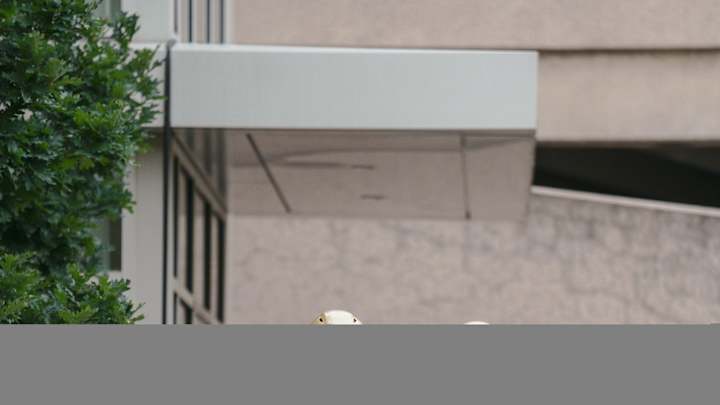 Stellar, Standard & Subpar: DT Ryan Betro Stellar, Standard & Subpar: DT Ryan Betro