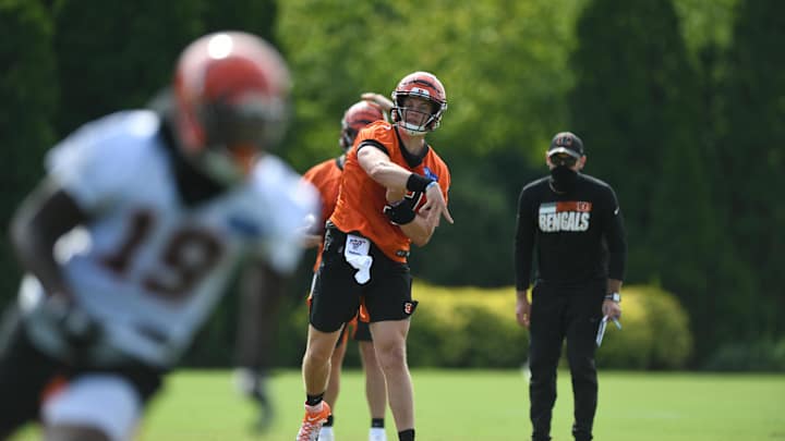 Jordan Palmer expects Joe Burrow to succeed as a rookie, despite an unusual offseason