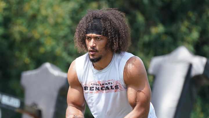 Bengals waive running back Rodney Anderson