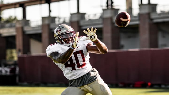 FSU Tight End To Miss Season With Injury