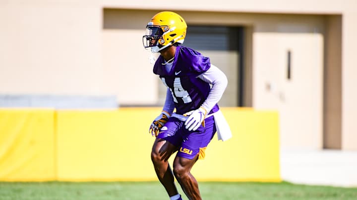 Video: LSU Football Hits the Field for Second Day of Fall Practice
