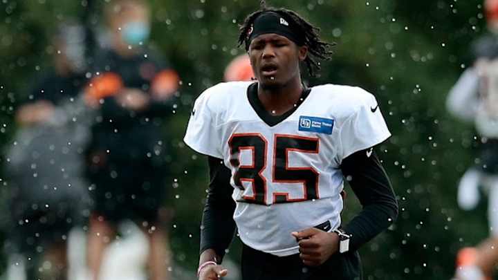 Tee Higgins Dominates in Monster Rookie Season Tee Higgins Dominates in Monster Rookie Season