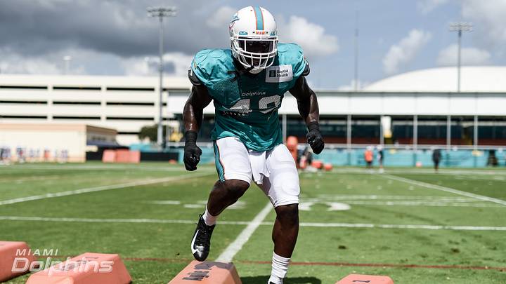 Miami Dolphins Week 6 Snap Counts ... And What They Mean Miami Dolphins Week 6 Snap Counts ... And What They Mean
